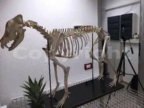 Misurazione rumore ristorante di notte con strumentazione certificata<br /><br />