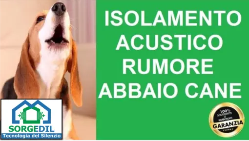 Isolamento Acustico Efficace per Combattere l'Abbaio dei Cani